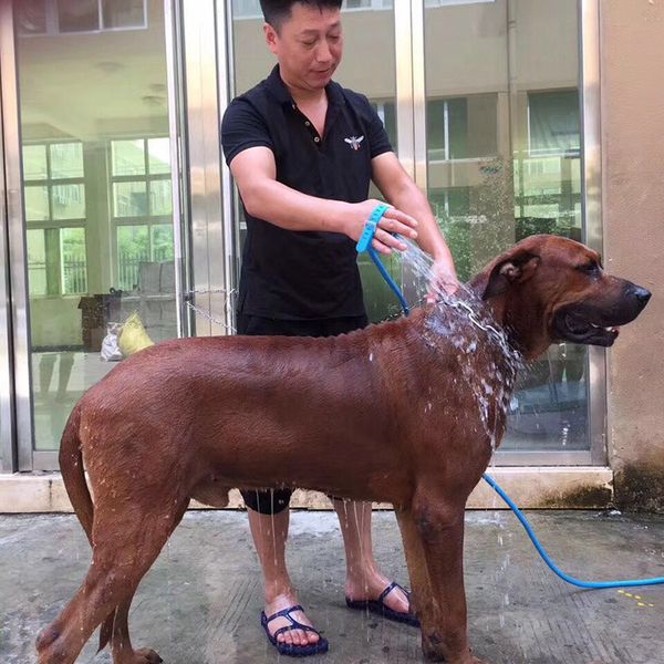 

pet bathing tool comfortable massager shower tool cleaning washing bath sprayers dog scrubber sprayer hand massage