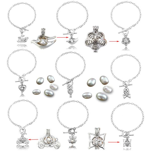 

Liga, Rede dreamfly99