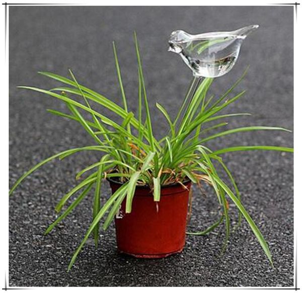 

new arrival creative bird shape clear glass self watering garden sprinklers automatic waterer for plant flower ing