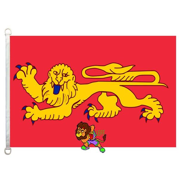 

aquitaine flag,90*150cm ,100% polyester, banner,digital printing