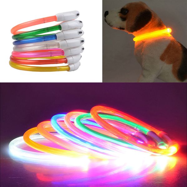 Hundehalsbänder USB Leucht Hundehalsband LED-Licht USB-Lade Hundehalsband Teddy Flash Kragen Heimtierbedarf Großhandel