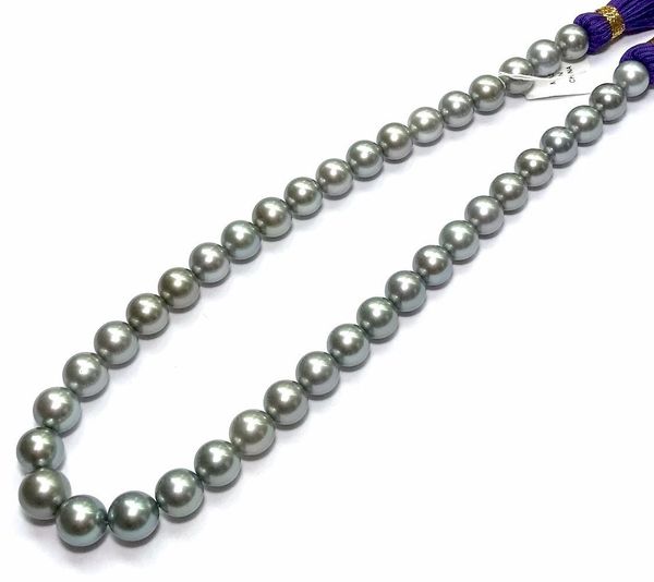 

fine pearls jewelry 12-13mm natural gray tahitian south sea pearls strand - necklace, Black