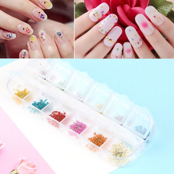 Acheter 12 Couleurs Ongles Fleurs Séchées Nail Art Décoration Design Conseils Bricolage Outil De Manucure De 3737 Du Rootless Dhgatecom