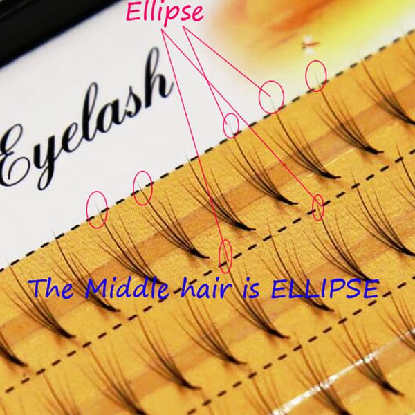 

0.07 мм 5D смешанная длина c завиток облака волосы собственные ресницы привитые элли