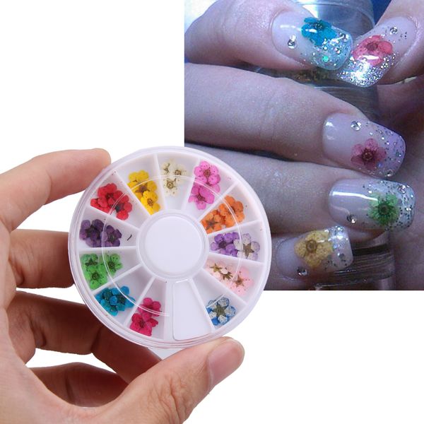 Acheter 12 Couleur Fleur Séchée Pour Nail Art Décorations Ongles Naturel Fleurs Sèches Roue Autocollants Stickers Diy 3d Conseils De Manucure Decal De