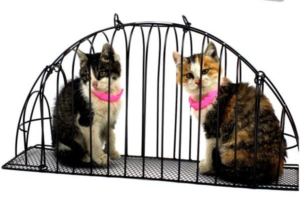

Бесплатная доставка Cat Cat Cage Pet Dog Bag Двойная дверь Carrier Инъекции Anti Grasping Укус Carried Кейдж Easy Cat 1PC