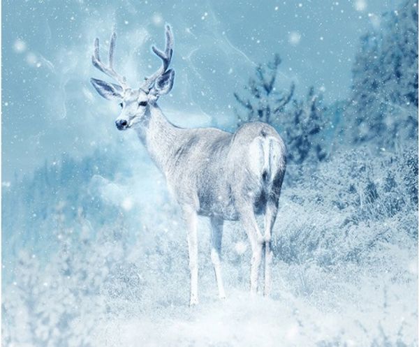 

полнй квадѬа/Ѭађнд дѬел 5d diy алмаз живопи "ло" вивка кѬеом мозаика home deco