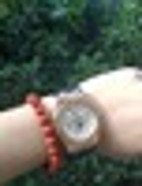 

didun mens watches watch creative watches automatic machinery watch luminous chronograph 30 meters, Slivery;brown