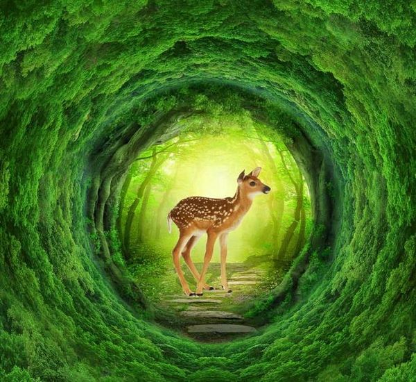 

3d покрытие пола красивый зеленый лес пятнистого оленя 3d пола трехмерную картину tiles3d кирпича обои