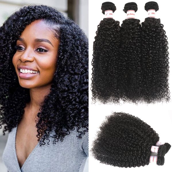 Msh 10a Malaysian Virgin Kinky Curly Hair Brazilian Peruvian