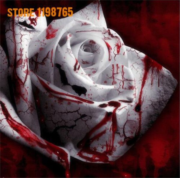 

Outros Acessórios Jardim ymhzdy