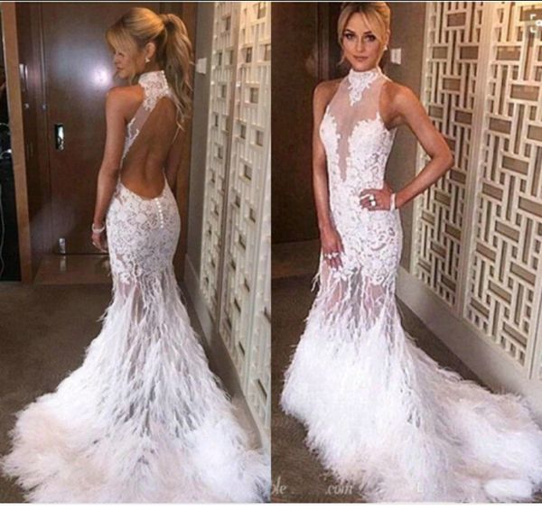 Prom Dresses Sexy Mesh Transparent Ostrich Hair High Collar Leaky
