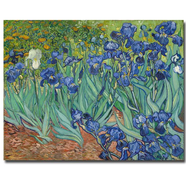 

blue irises oil painting - vincent van gogh - reproduction painting oil print on canvas wall art prints unframed