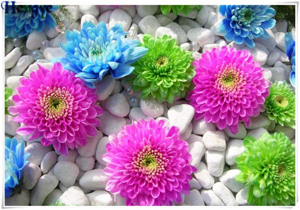 

5d поделки алмазов картина вышивки крестом комплект горный хрусталь полный squareround алмазная вышивка роза цветок домашний декор мозаики п