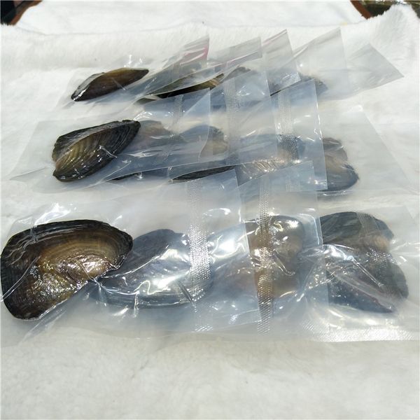 

Высокое качество круглый Oyster Pearl 6-8 мм 31 Mix цвет большой пресной воды подарок DIY природный жемчуг свободные бусины украшения вакуумная упаковка Оптовая