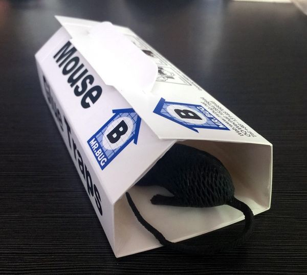 

household sundries 10 pcs new mice trap rat trap mouse trapper glue board sticky mouse reject mice control pest trapper safe non -toxic
