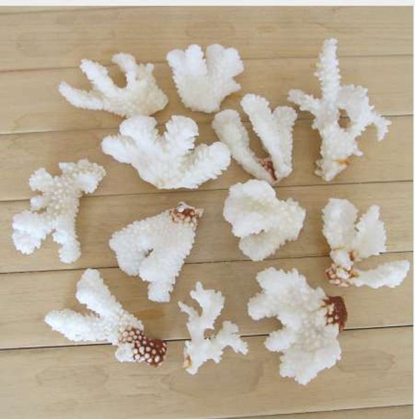 2019 250g Natural White Coral Rock Branch Fish Tank Accessories