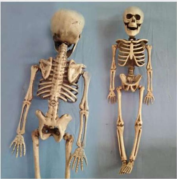 Skeleton Natal Prop 100% Plástico Lifelike Bones Humanos Figurine de Crânio para Decoração Do Partido Horror Halloween