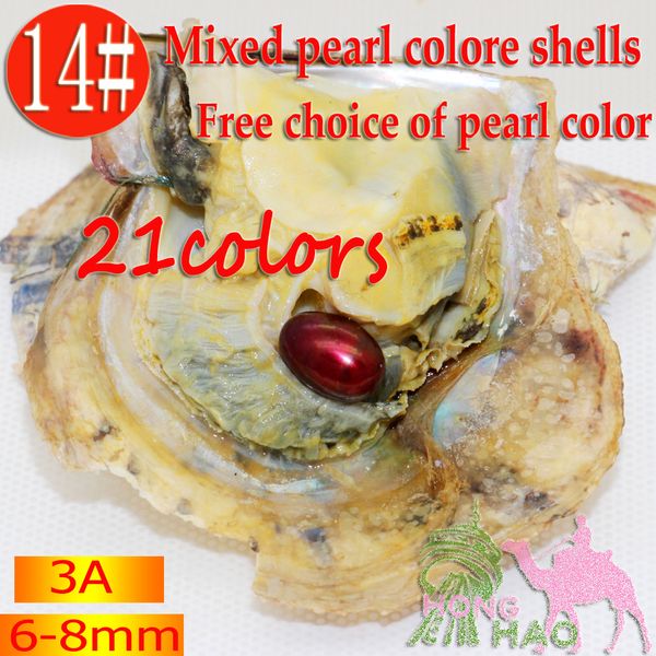 DIY 21 Farben Stil bunte Tropfen Perle einzelne Akoya-Perlen-Austern mit 6-8 mm Perle Großhandel