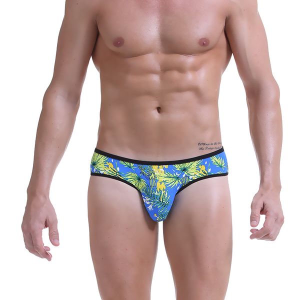 

Printed 3pcs /Lot Fashion Printed Breathable Mesh Gay Men Underwear Erotic Sexy Nylon Panties Underpants Gays Pouch Sexy Brief