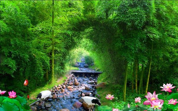 

ползоваелкие наенна Ѭопи овѬеменна живопи каѬина вокое кае