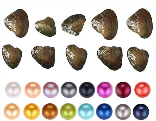 

fancy gift akoya pearl love freshwater shell pearl oyster 6-7mm pearl oyster with vacuum packaging 31colors, White