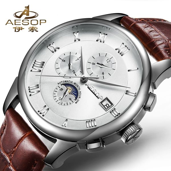 

aesop business automatic mechanical watch men wrist moon phase wristwatch genuine leather male clock relogio masculino hodinky, Slivery;brown