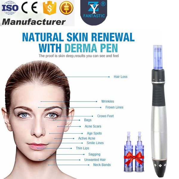 

skin care electric derma dr.pen auto microneedle system derma roller stamp auto micro needle roller machine with two 12 needles cartridges