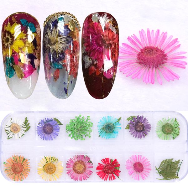 

1 case dry flowers daisy nail decal leaf natural dried petal nail art decor real flora gel polish manicure tools befl677, Silver;gold