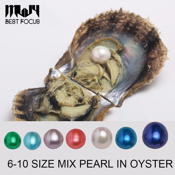 

Large 6-10mm Edison Pearl Mix Size Oyster with Pearl Large Round Pearl in Oysters Colorful Edison Pearls Oysters to Open at Home