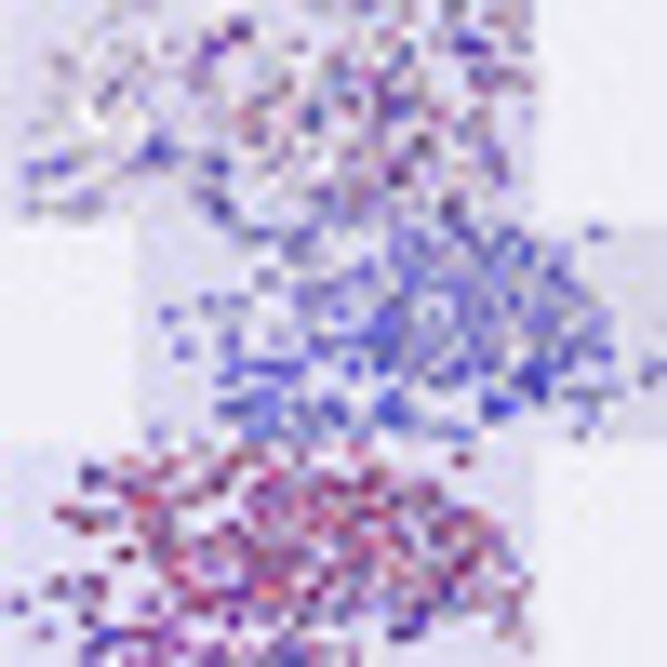 

6 colors new triangle shaped sequins nail-art decor slice stickers glitter tips, Silver;gold