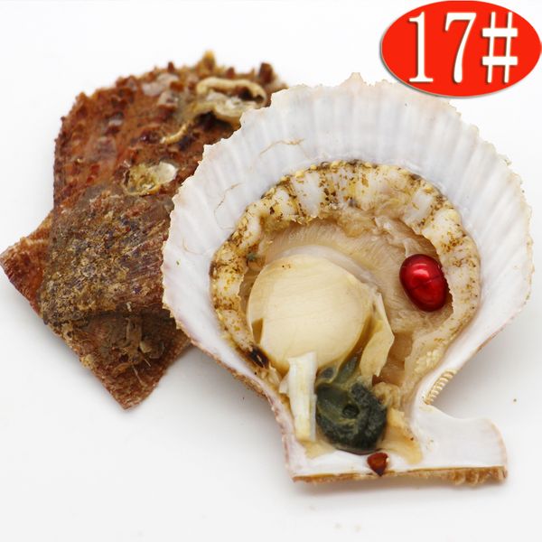 

pearl party surprise gift saltwater red shell oysters with 6-8mm ellipse dyeing freshwater pearl vacuum packaging