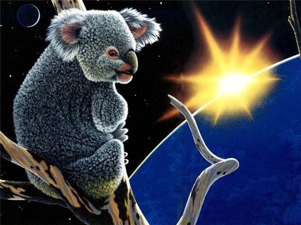 

diy diamond painting cross stitch kit rhinestone mosaic home decoration animal cute bradypod painting full round diamond embroidery yx1676