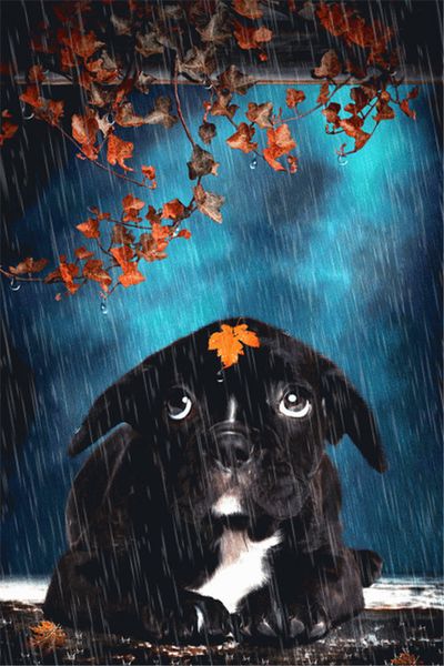 

алмазна вивка живоное еѬной обака поделка алмаз каѬина попеѬеного набо