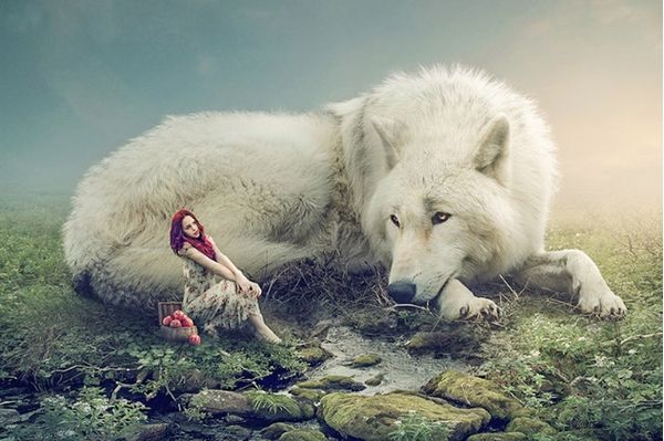 

full square/round drill 5d diy diamond painting "beauty and wolf" embroidery cross stitch mosaic home decor art experience toys gi