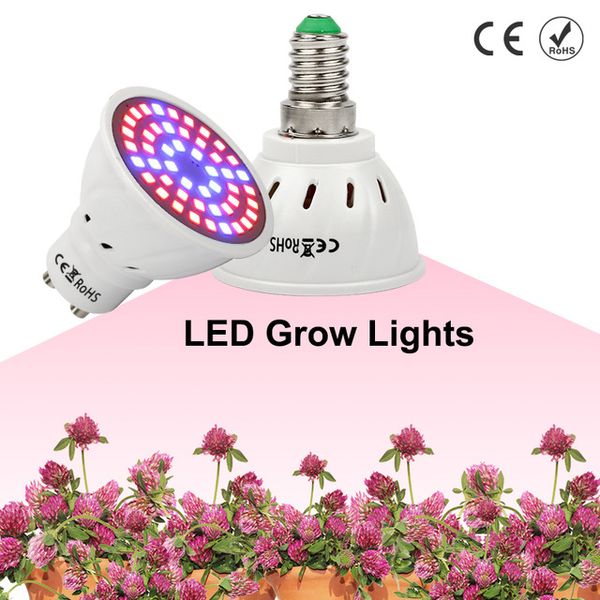 

Full Spectrum Grow Light E27 E14 LED Grow Lamp GU10 MR16 48 60 80 leds for Hydroponics Flowers Plants Vegetables Bulbs