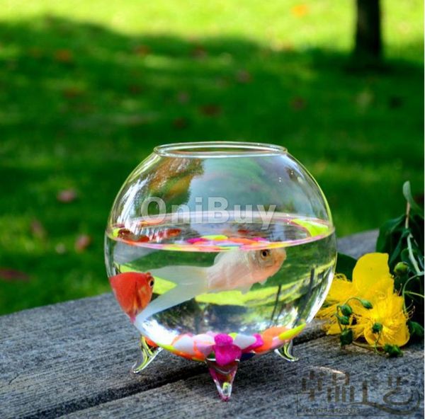 

new ball shaped glass gift flower hydroponic vase micro landscape diy homedecor bottle terrarium container hipping