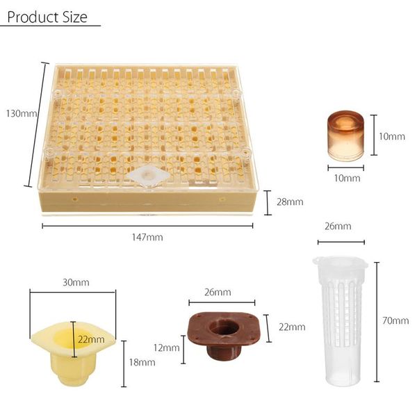 Complete queen rearing cup kit system bee beekeeping catcher box 100 cell/'cup Nz