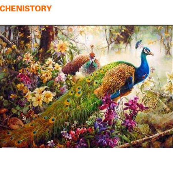 Chenistory pavão diy pintura por números pintura acrílica animal na lona família pintado à mão pintura pinturas de parede