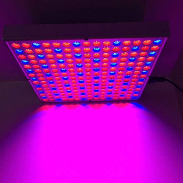 225 Led Plant Growth Lamp 45w Greenhouse Nursery Flowers Indoor 225 Led Plant Growth Lamp 45w Greenhouse Nursery Flowers Indoor Multi Fill Light Input Voltage