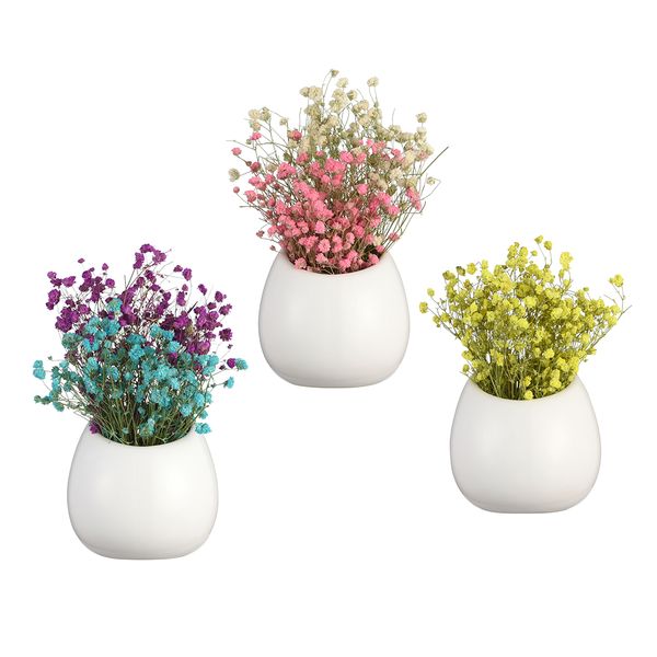 Pack Of 3 White Pots Ceramic Wall Vase Wall Hanging Air Plant