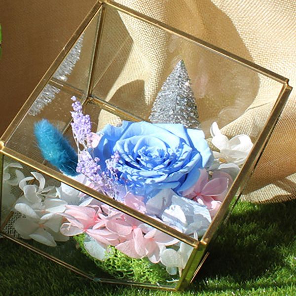 

new garden miniature glass terrarium geometric diamond deskgarden planter for indoor gardening home decor vases hh7-1181
