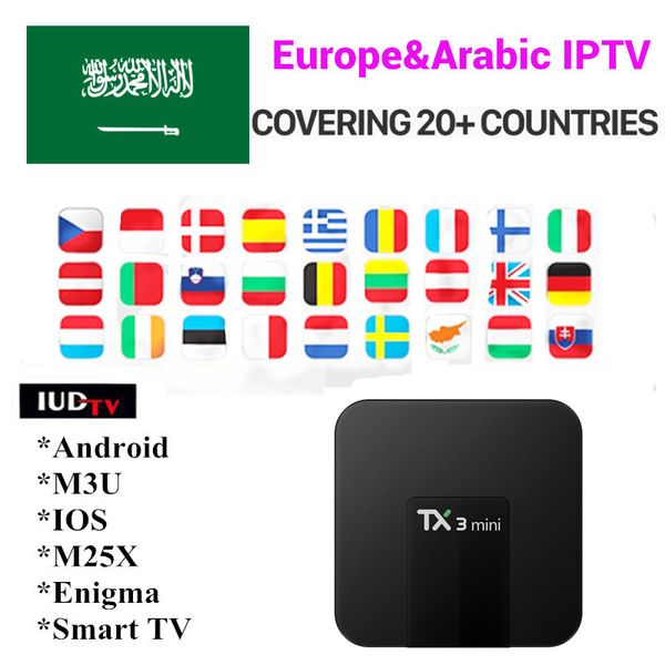 

Подписка Iudtv Iptv m3u Швеция арабский Iptv для более 2000 Живая Великобритания Испания Турция Германия Румыния российские IP телеканалы