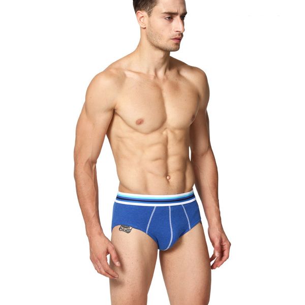 

Spandex 4pcs /Lot New Brief Panties Mens Breathable Briefs Mens Brief Cotton Mens Bikini Underwear Pant for Men Sexy Underwear Men