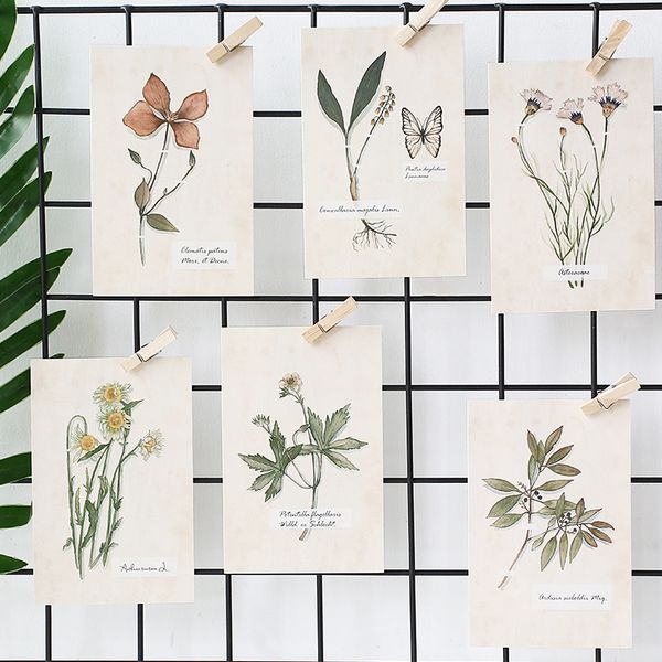 

30pcs/pack flower plants sample swatch postcard greeting card new year birthday card letter envelope gift message cards