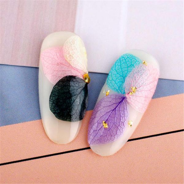 

12 colors real petal dry dried flower stickers design uv gel nail art polish tips jewelry decoration diy manicure tools set, Black