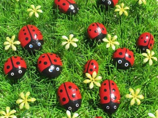 

a2339 coccinella 40 * 30 5d diy алмазная вышивка живопись home decor алмазный крестик 100% смола инструмент дриль живопись мозаика рукоделие