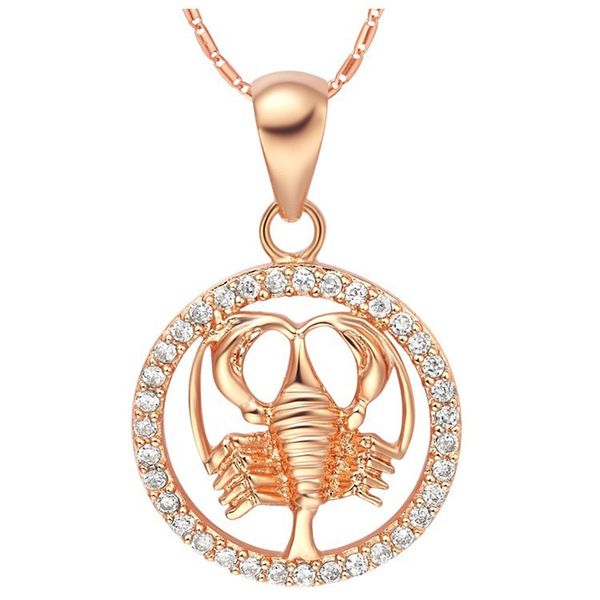 

rare 12 zodiac aries taurus gemini cancer leo virgo libra scorpius sagittarus capricornus aquarius pisces pendant gold necklace, Silver