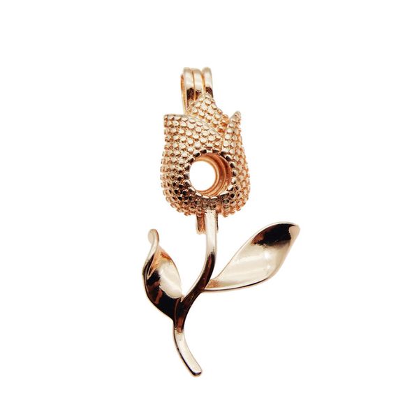 

10pcs rose gold charm rose pearl cage jewelry making bead cage pendant aroma essential oil diffuser locket for oyster pearl, Silver