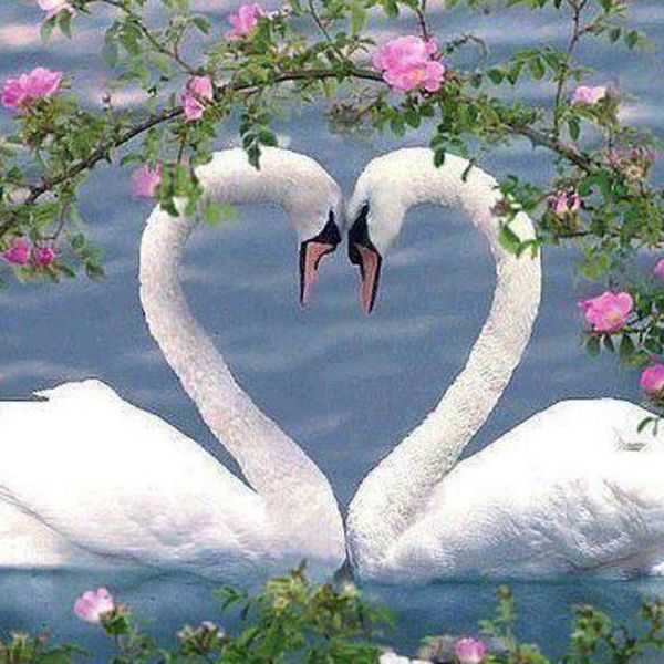 

a2401 goose 40*40 5d diy diamond embroidery painting home decor diamond crossing stitch 100% resin tool dril painting mosaic needlework